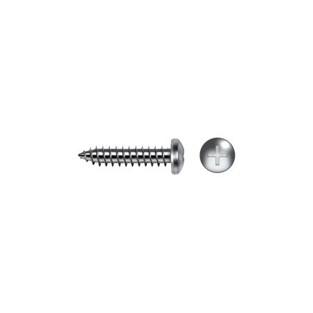 Tornillo DIN 7981